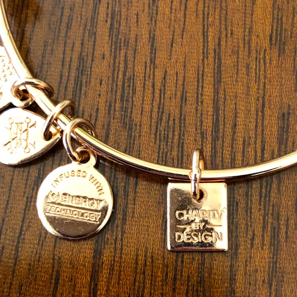 Alex and Ani Guardian Wing Charm Bracelet - Picture 10 of 12